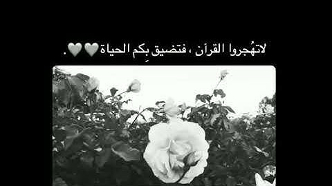 ماهر المعيقلي تلاوة جميلة من #القرآن مقاطع قصيرة حالات واتساب