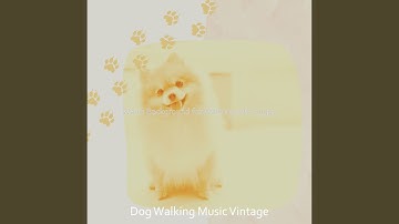 Pulsating Easy Listening Music - Vibe for Walking Your Dog