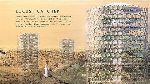 Locust Catching Tower