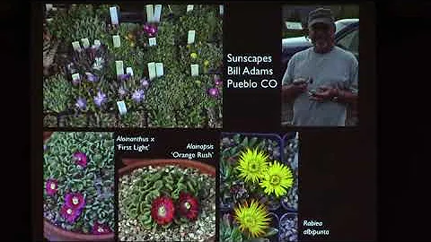 Marcia Tatroe -- Rockin' with Cacti & Succulents