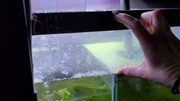 What Happens to the Sump Filter in a Power Outage?