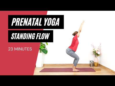 23 Minutes Prenatal