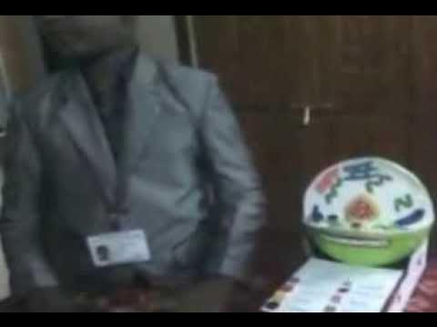 how to make animal cell model science project 