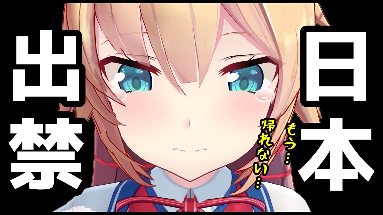 【悲報】ついに日本出禁になりました。