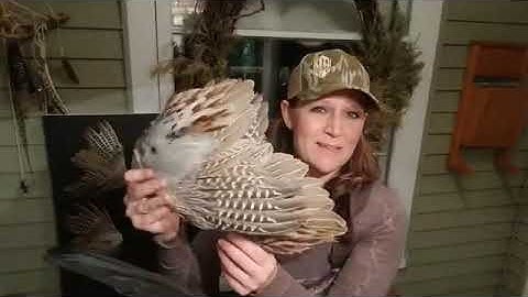 HOW DO I PIN WINGS FOR DRYING?