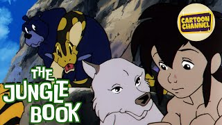 The Jungle Book // Episode 52 // Free Cartoons For Kids // Adventure Toons // Animated Series