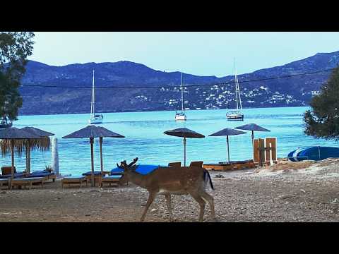 ⁣Veleiro Barba Negra #330   A selvagem Aegina Moni Island e Aegina Marina