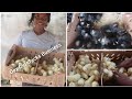 How To Start A Day Old chicks Business In Nigeria 🇳🇬 / Raising A Day Old Chicks / Market vlogger