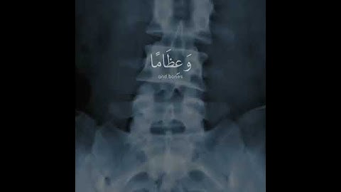 Al-Mu'minun 23:82_سورة_المؤمنون