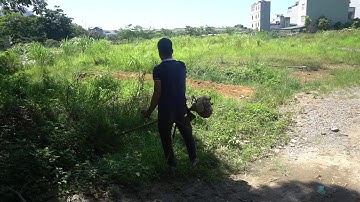 Thử Dùng Cước Thay Dao Cắt Cỏ Và Hiệu Quả Bất Ngờ An Toàn Tuyệt Đối