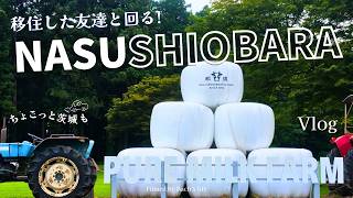 Nasu-Shiobara in 3 Days｜A Local Friend's Favorite Spots & Fukuroda Falls screenshot 3