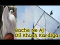 Laal Chine Pathe Ki Uraan Time Ke Sath Sare Kabutaro Bitha Ke Baitha Bahut Acha Ura in Urdu/Hindi