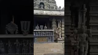 #యాదగిరిగుట్ట నరసింహస్వామి అన్నదానం #shortvideo #yadadri #yadadritemple #yadagiriguttatemple #hindu