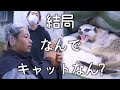 ミーアキャットの名前の由来は！？