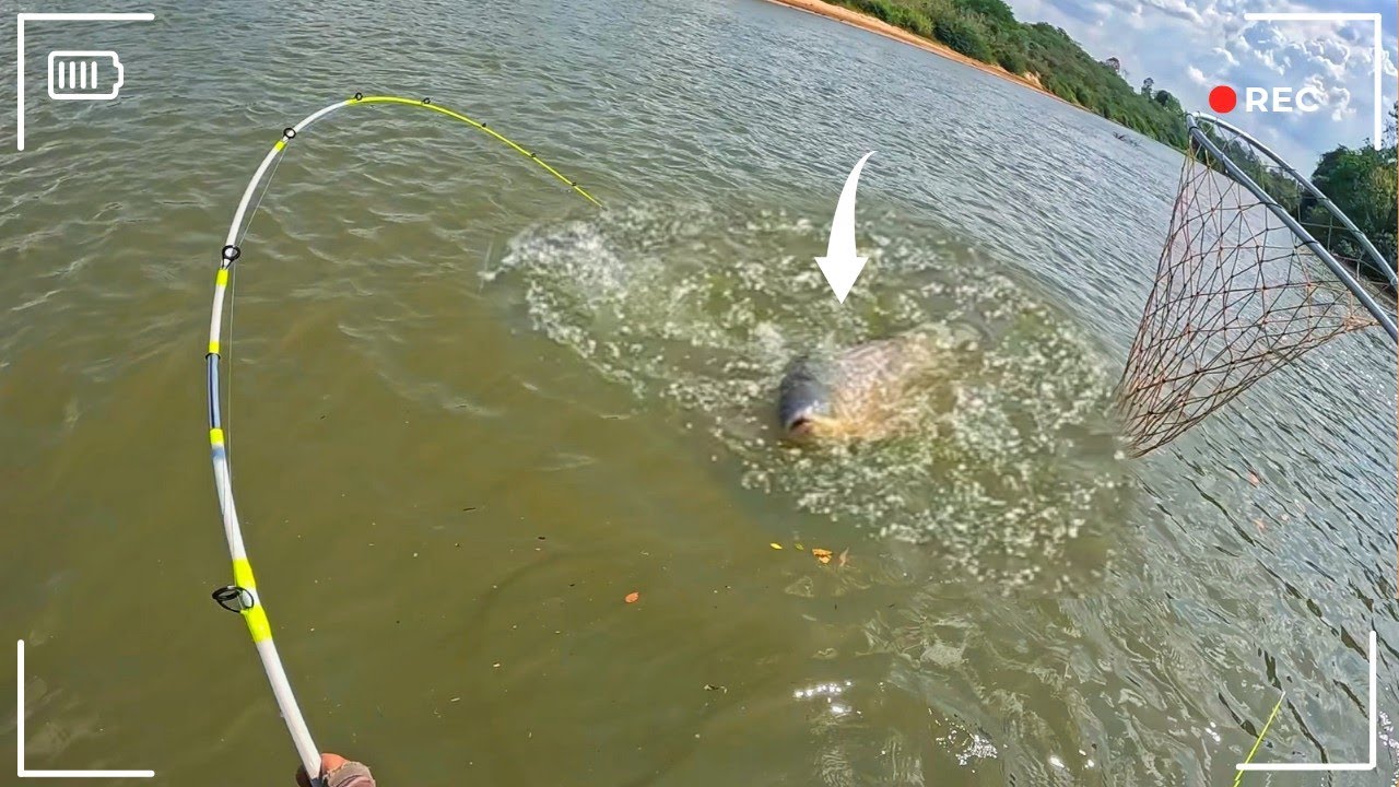 O PEIXE MAIS COBIÇADO DO RIO AGUAPEÍ!!! PESCARIA 