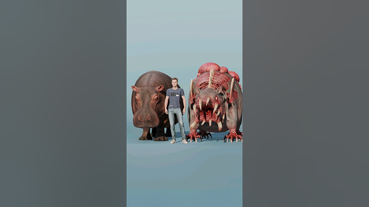 Zoochosis Monsters Vs Real life Animals
