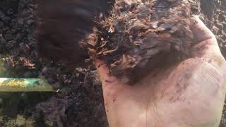 Creating your own  compost