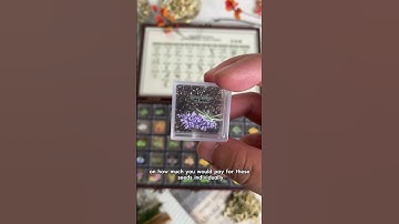 A beautiful seed box paired with an even smarter guide 📚🌿