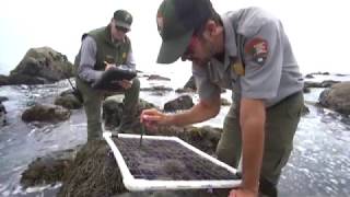 Monitoring California's Mediterranean Ecosystem Monitoring Ecosystems With The Sonoran Desert Network