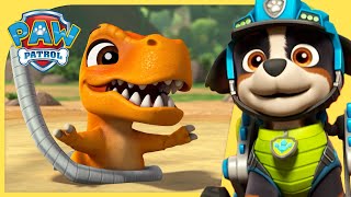 Best Dino Rescues and MORE | PAW Patrol | Cartoons for Kids