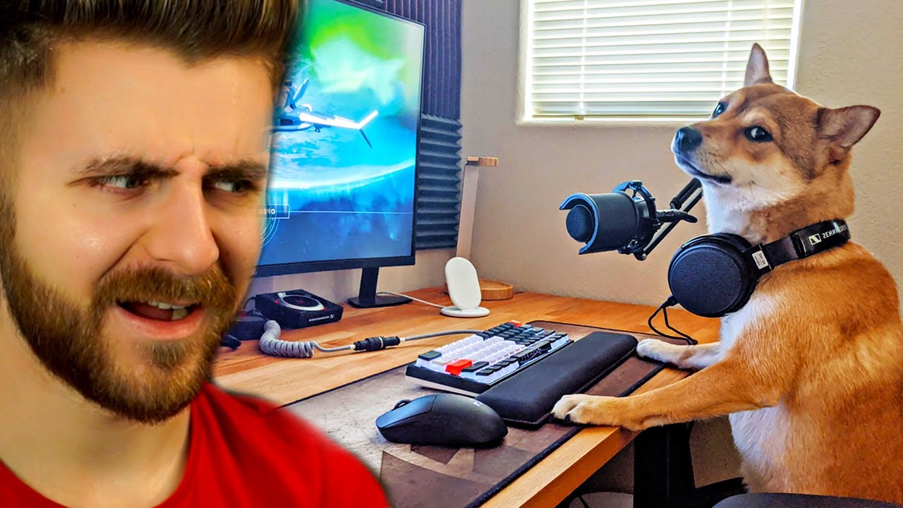 CELE MAI MISTO SETUP-URI DE GAMING!