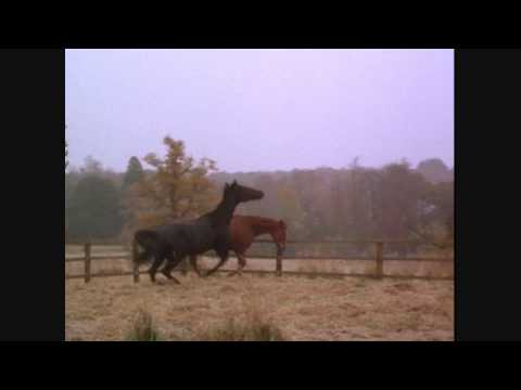 05 Jump for Joy Black Beauty Soundtrack with Video