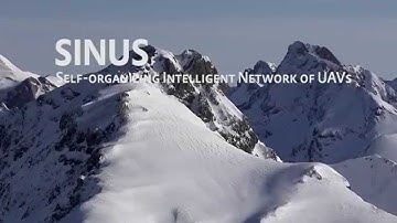 Self-organizing Intelligent Network of UAVs