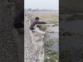 how to do one leg push up and squat easiest ways to learn pistol squats #pistolsquat #tricking 💪🇮🇳