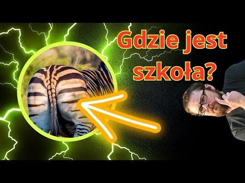 Wideo: Jakie byłyby mitochondria szkoły?