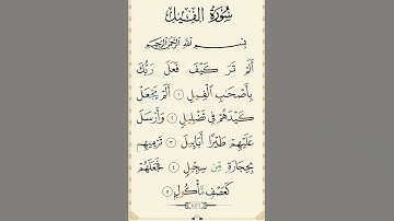 سورة الفيل بصوت القارئ الشيخ سعد الغامدي 💕 | #سورة_الفيل 🍂 | #قرآن #quran 🤍