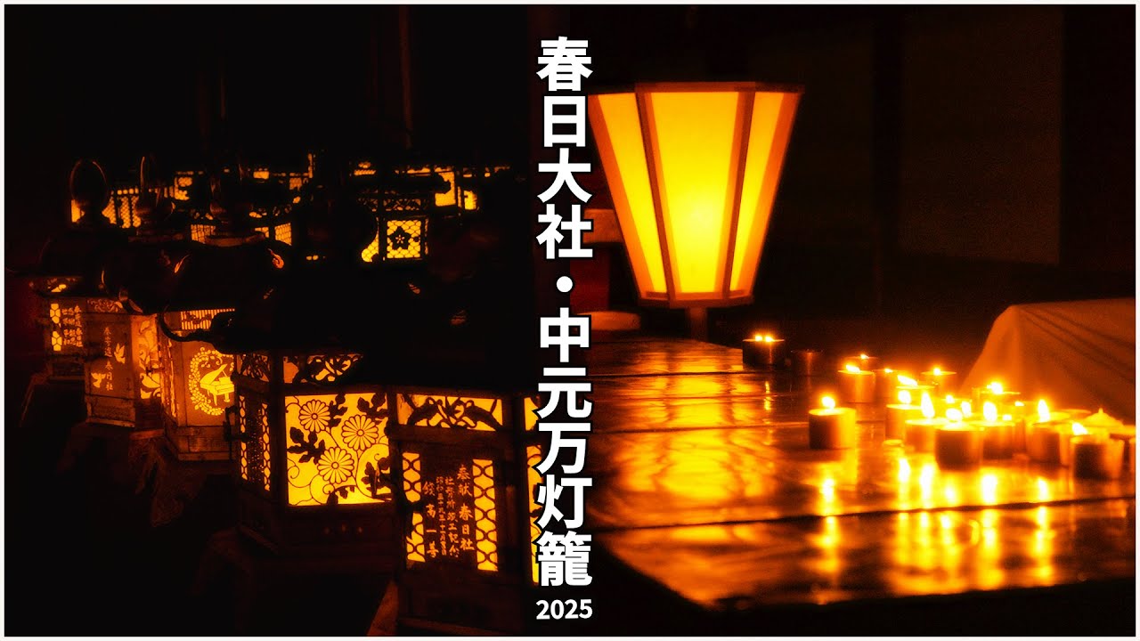 春日大社 中元万燈籠 2025｜Kasuga Taisha Chugen Mantoro | Obon in