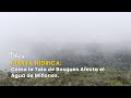 Alerta Hídrica: Cómo la Tala de Bosques Afecta el Agua de Millones - TvAgro por Juan Gonzalo Angel