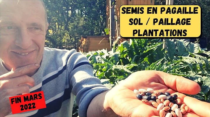 FIN MARS ► SEMIS, PAILLAGES, SOL APRÈS 6 ANS ► En avant vers la pleine saison