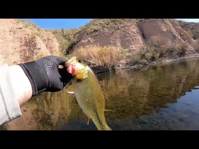 Fishing the Curly Tail Grub for Smallmouth (5.23.23) 