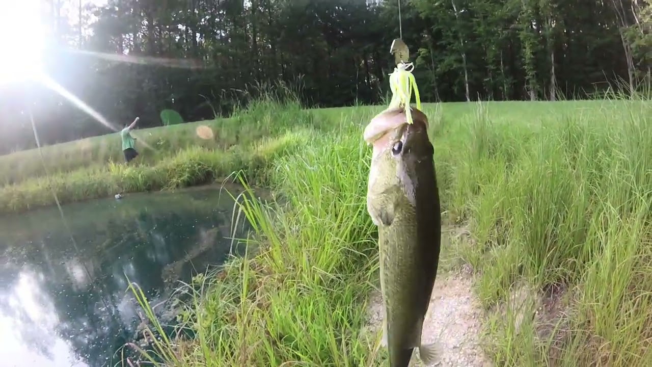How a fishing experience went from good to bad #fish #bigbass #bassfishing