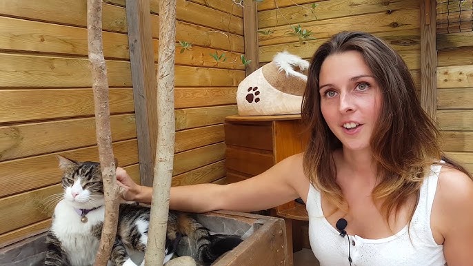 La Caresse du Chat - Pension féline La Caresse du Chat - Pension féline