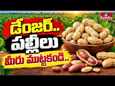 డేంజర్..పల్లీలు మీరు ముట్టకండి..