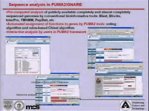 Grid-based Integrated Bioinformatics Systems for High Throughput