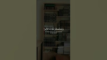 الأية 62 من سورة النمل 🎧