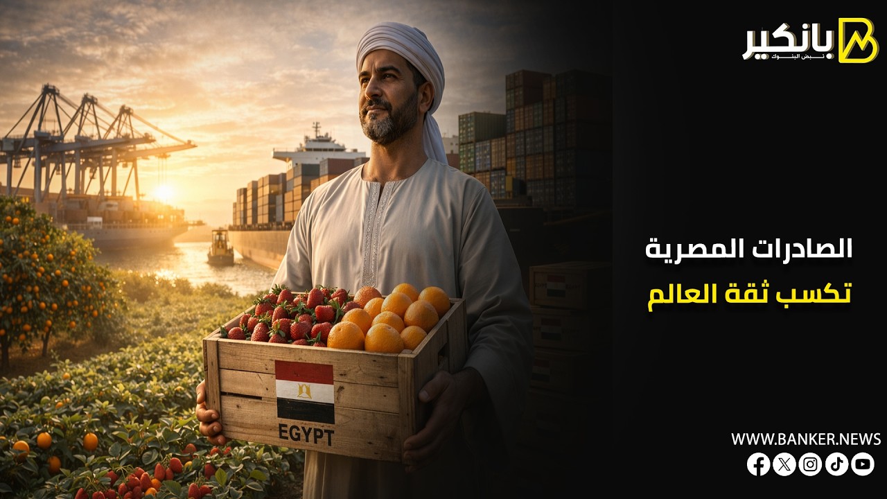 بشهادة سلامة الغذاء   243 ألف طن صادرات مصرية تعزز ثقة العالم في المنتج الوطني