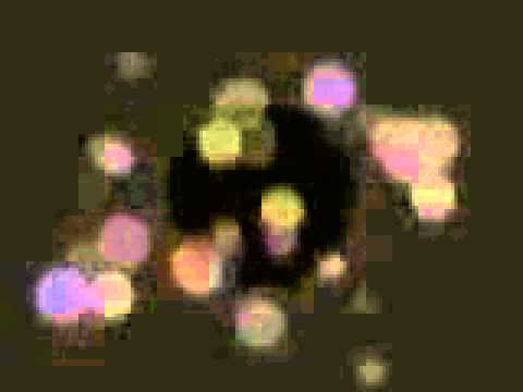 Jeff Mills - Siam (Tomorrow, TW-000) The Eyes Of Edward Molton (Unreleased)