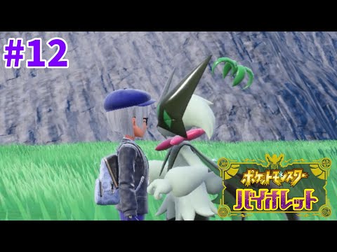 ポケットモンスター バイオレット + ゼルの宝珠 ポケットモンスター スカーレット・バイオレット ゼロの秘宝