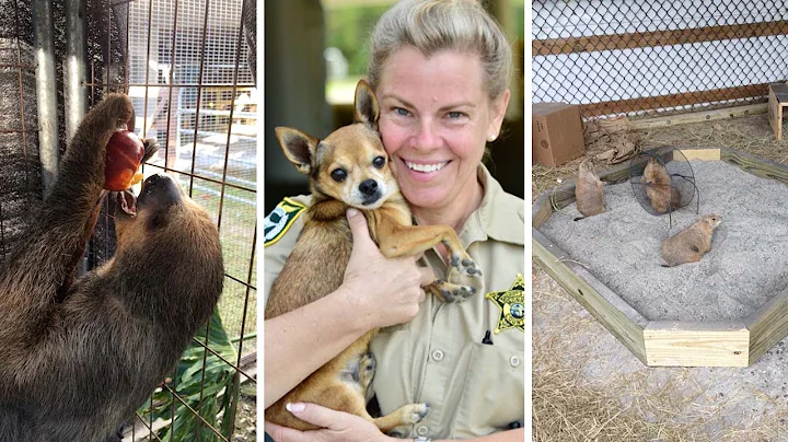 Inmates Help To Run Animal Farm