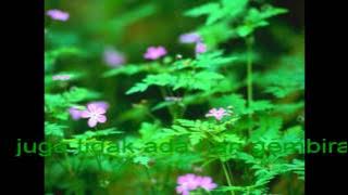 NADAMURNI - hari raya hanya di syurga