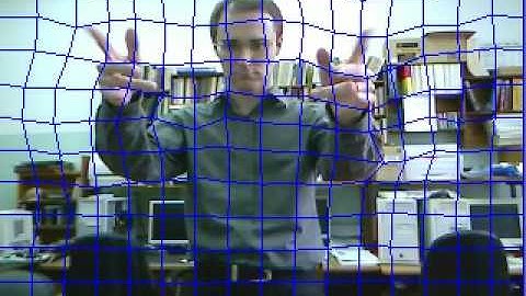 MirrorFun - Optical flow test: OpenFrameworks + OpenCV