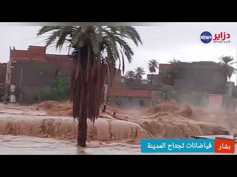بشار فيضان واد بشار مع تسجيل خسائر مادية  