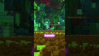 Qui a sa houe maxée déjà ? #minecraft
