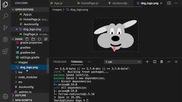 React Native with Hooks and Real API using Axios.