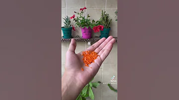 اقوي سماد طبيعي للزرع Plant Gardenlife Gardenplants Mygarden Gardentrees Gardenanswer 
