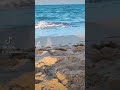 خليهم يستناو خليهم يستناو
